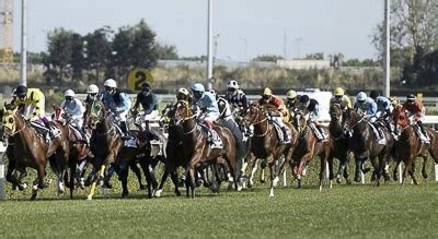 ﻿Tabela bahis kupon hesaplama: At yarışlarında bilinmesi gereken kurallar At Yarışı